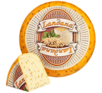 Сир із пажитником 