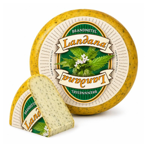 Купити Сир з кропивою Brandnetel Landana 50% - преміальний голландський делікатес з травяною душею! — преміальні Landana · Преміум від Cheese Map™ Україна