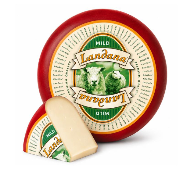 Купить Сыр овечий молодой Sheep cheese Mild Landana 50% — премиальные Landana · Премиум от Cheese Map™ Украина