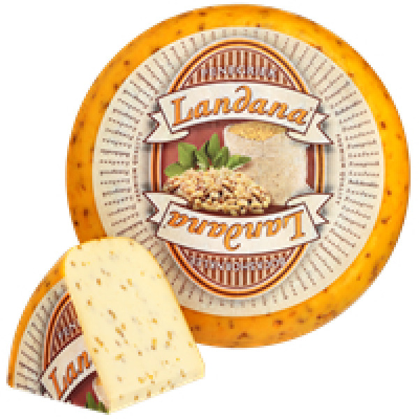 Купить Сыр с пажитником Fenegriek Landana 50% – нежность сливочного вкуса с ореховой ноткой — премиальные Landana · Премиум от Cheese Map™ Украина