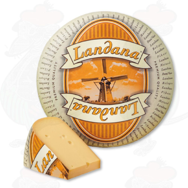Купить Сыр зрелый Гауда Mature Landana 50% — премиальные Landana · Премиум от Cheese Map™ Украина